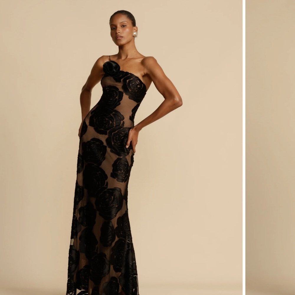 NWT Brand new rose print gown Arcina Ori